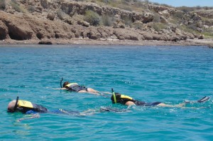 Snorkeling in the Sea of Cortez
