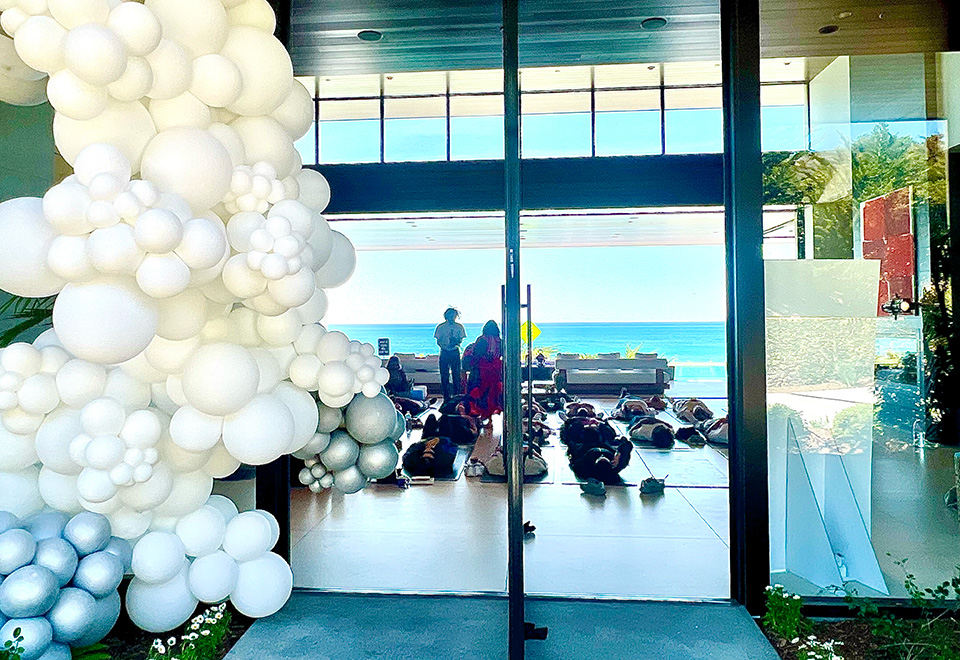 Dripology Wellness Day entrance Entrance to Dripology Wellness Day