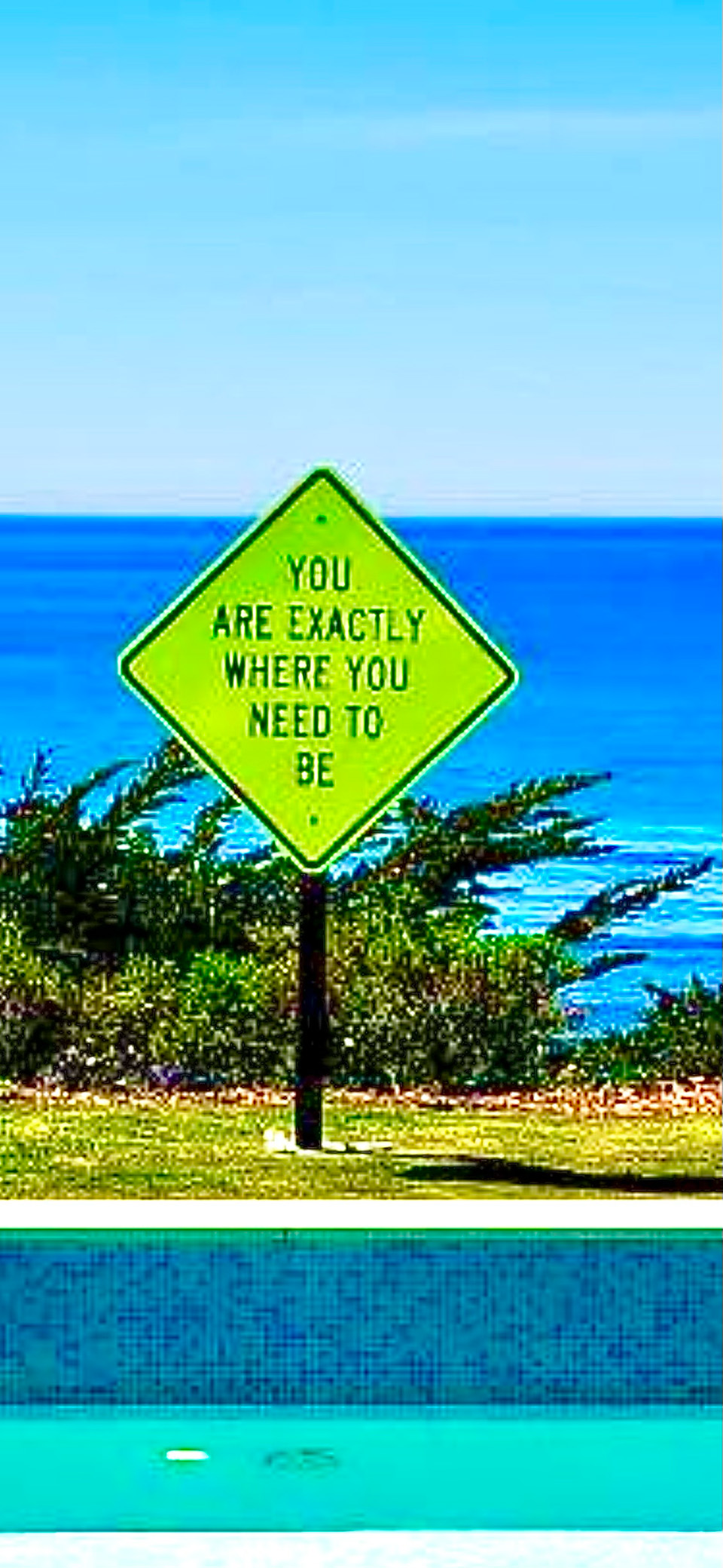Dripology Wellness Day Yield sign Sign saying You are exactly where you need to be