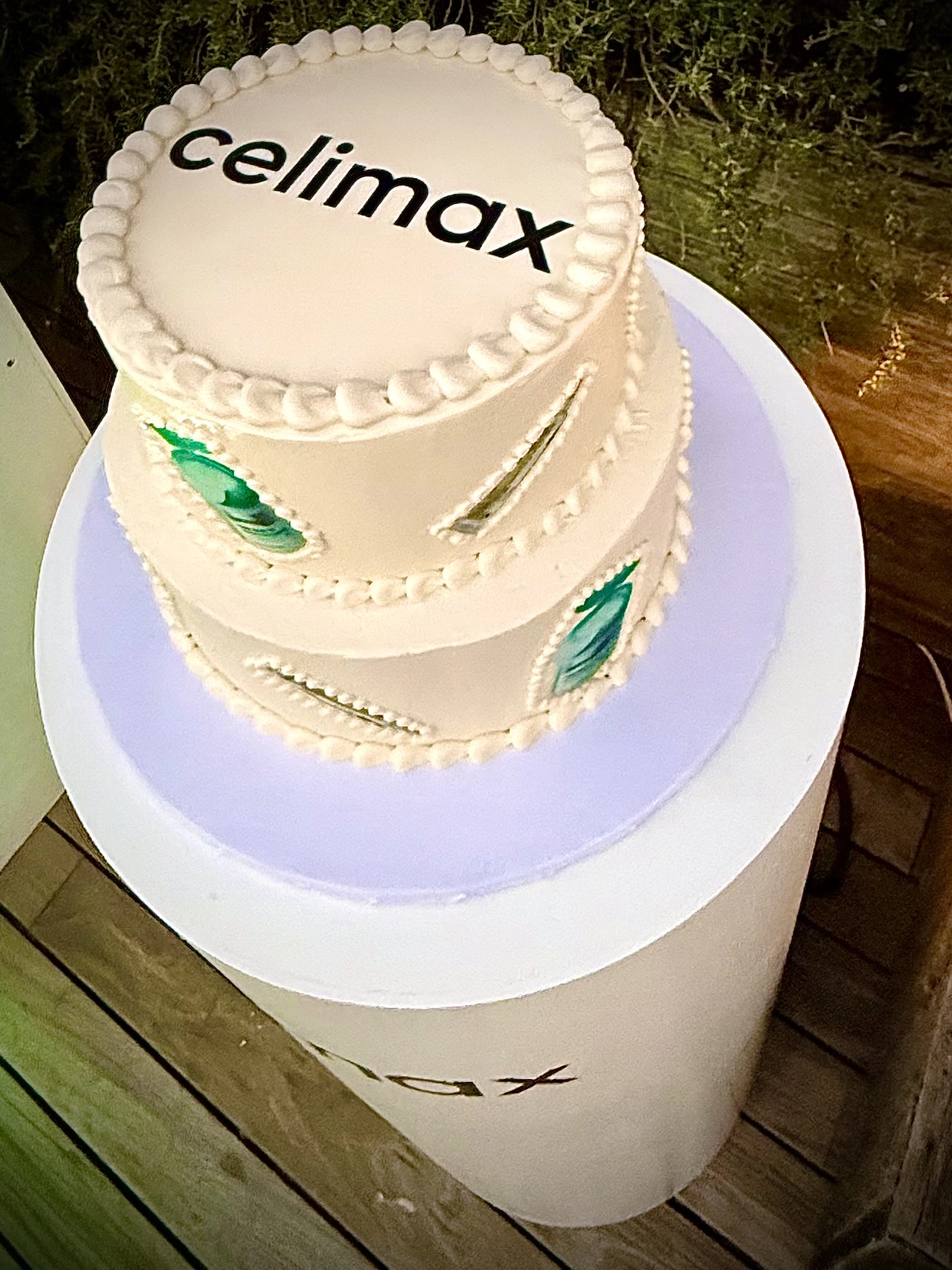 Birthday Cake for the founder of Celimax